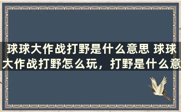 球球大作战打野是什么意思 球球大作战打野怎么玩，打野是什么意思